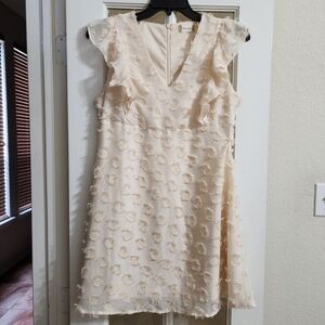 Altar’d State Ivory Swiss Dot Ruffle Sleeve A-Line Dress Large BE54814